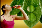 Leaves - Lipton 
